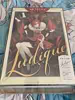 未開封新品 赤倉 画集 Ludique 限定版 アニメイト特典付 Amazon.co.jp: 赤倉 画集 Ludique 限定版 アニメイト特典付